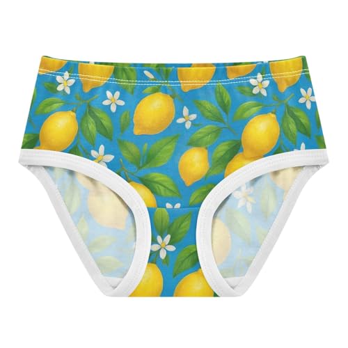 Joisal Yellow Lemons Green Leaves Blue Toddler Girls Underwear 2t Cotton Girl Panties Cute Personalized Briefs Girls Undies