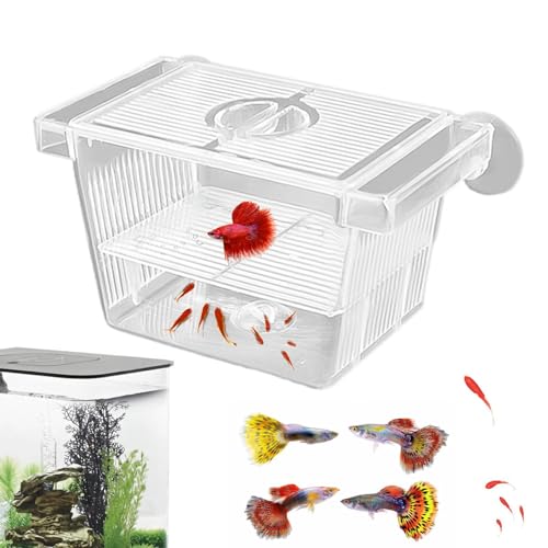 Boîte d'Élevage et d'Isolation Transparente pour Poissons - Incubateur d'Aquarium en Acrylique pour Betta, Crevettes et Guppy