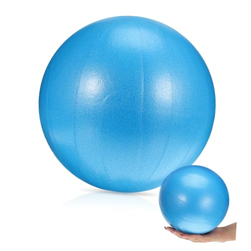 NULYLU Professional Core Ball Yoga Ball for Workout Reusable Home Fitness Equipment