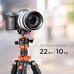 Camera Tripod, K&F Concept 62" Aluminum Tripod Monopod with Quick Release Plate, Ball Head and Compact Travel Compatible with Canon Nikon Sony DSLR Camera O254A1+BH-28L