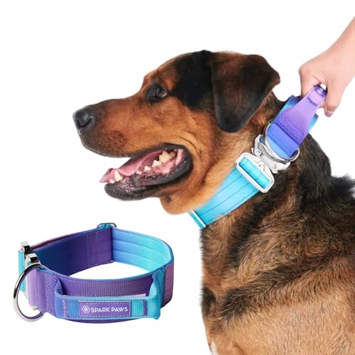 Spark Paws Tactical Dog Collar - Heavy Duty, Premium Quality, Thick and Durable for Large and Medium Dogs - 90's Retro - L