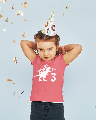 rawr im 3 Year Old Girl Birthday Shirt Dinosaur Roar Three 3rd Toddler Outfit Third3