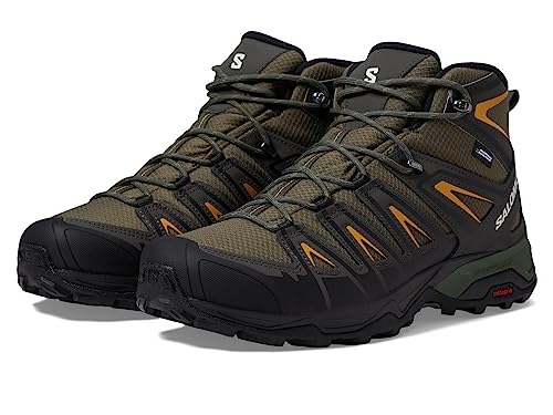 Image of Salomon Men's X ULTRA PIONEER MID CLIMASALOMON WATERPROOF Hiking Boots for Men