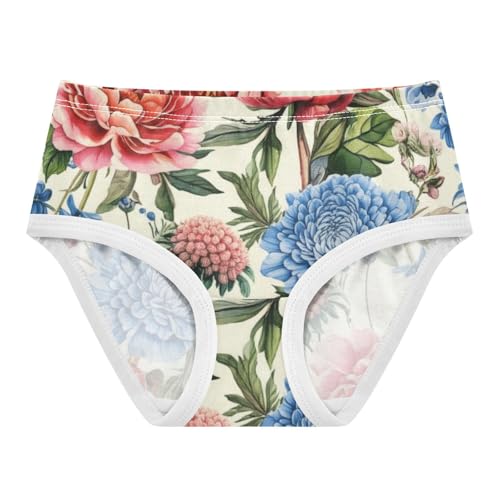 Toddler Girls Underwear 2t Cotton Cute Panties Girl Cartoon Briefs Underpants Rose Peony Pink Blue Florals