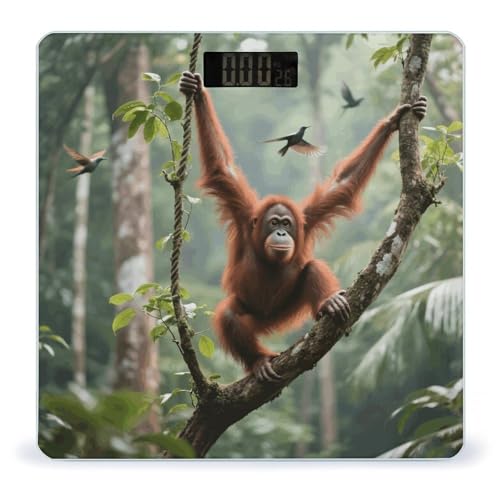 Báscula Digital de Baño Swinging Orangutan Precisa 400 lb miniatura 1