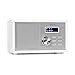auna Ambient - Radio DAB+/FM, Streaming Bluetooth: Versione 5.0 con Supporto A2DP, Radio: DAB/DAB+/FM, Display LCD, AUX-In, Connessione Cuffie, Effetto Legno, Bianco