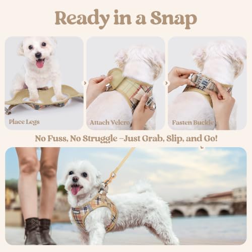 Image of rabbitgoo Dog Harness Small Sized and Leash Set, Step-in Puppy Pet Vest