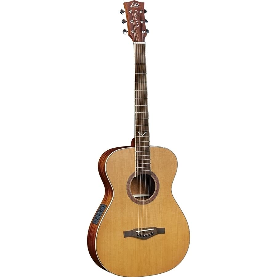 Eko Guitars - Evo A350e Baritone