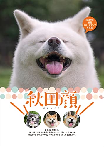 秋田顔 (六花舎ブックス)