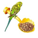 Perchoirs perruches | Support de perchoir d'oiseau et mangeoire de jouets perroquets,Jouets interactifs Accessoires de cage de perruche pour ronger grimpant mange cochenilles canari colibri Lovebirds