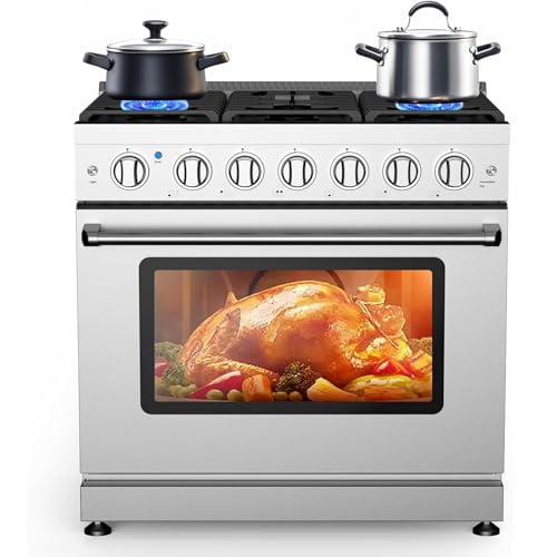 Comparison: Best 36 Inch Gas Stove 7 EcoSummer 36