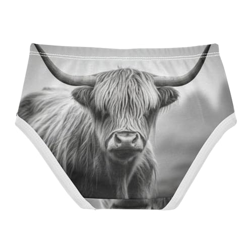 Bright Toddler Underwear Custom 2t Cotton Panties Little Girl Black White Highland Cow Undies Kids Briefs2