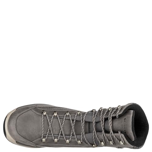 Image of LOWA Men's Renegade Evo Ice GTX High Rise Hiking Shoes