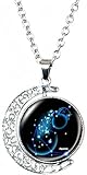 DEQIYIJI Zodiac Necklace Jewelry Birthday Gifts Astrology 12 Constellation Horoscope Sign Galaxy Crescent Half Moon Pendant Necklace Aquarius