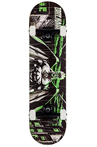 Tony Hawk Skateboard Complet Wasteland 8 Cover