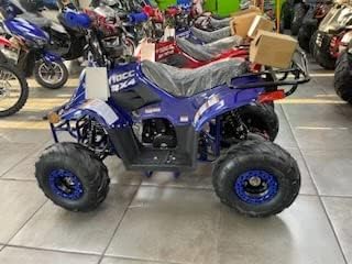 Miniatura 2 de Taotao Cuatrimoto BoulderB1 para niños, 110cc, Azul