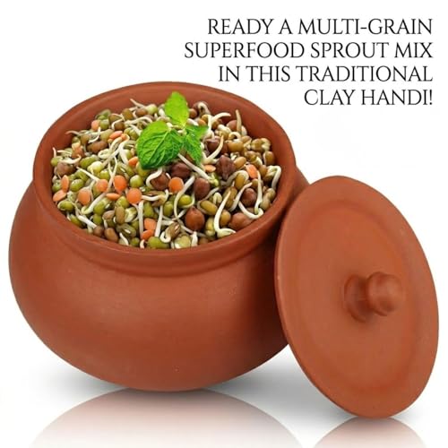 Image of Bhanvi 1000ml Earthen Clay Curd Pot with Lid for Making Curd Chach Lassi Dahi Kadai Handi Mitti Ke Bartan Unglazed Clay Pot Serving Use in Oven Not for Cooking