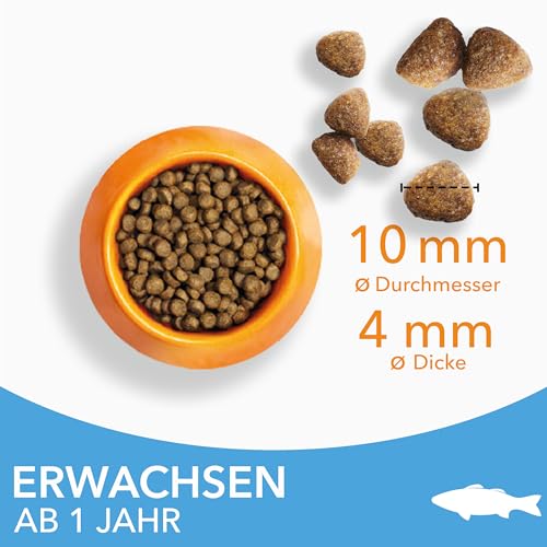 IAMS for Vitality Katzenfutter trocken mit Fisch - Trockenfutter für Katzen im Alter von 1-6 Jahren, 1,5 kg