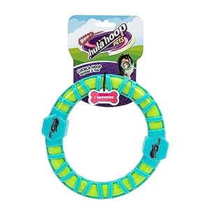 Whamo Jazwares Pets Chewlahoop Squeak  Squeaky Ring Dog Toy  Cucciolini Doodles Wham o jazwares pets chewla hoop squeak  squeaky ring dog toy   cucciolini doodles