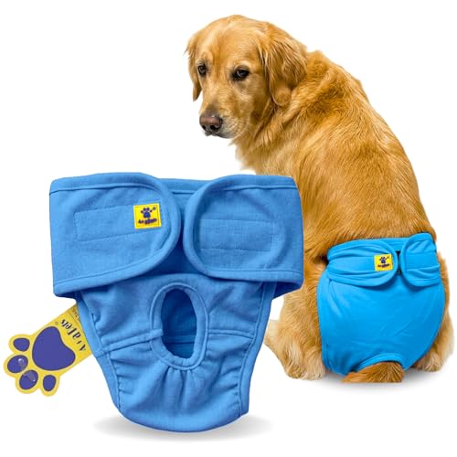 Image of A+a Pets' Cotton Dog Diapers | Underwear Panty | Stretchable Comfortable Washable and Reusable (XL, Blue)