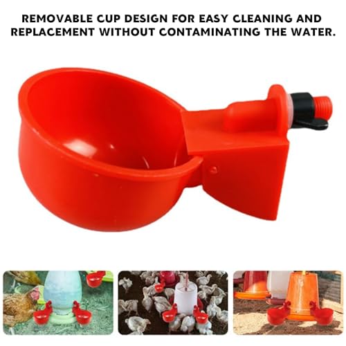Abbeveratoio Automatico per Galline - 8 Pezzi in Plastica, per Polli, Uccelli, Piccioni, Polli, Anatre (Rosso) - immagine 6