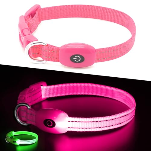 Kpuplol Light Up Dog Collar, Led Dog Collar USB Rechargeable Waterproof