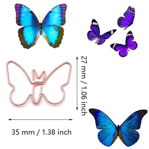 Variant 2