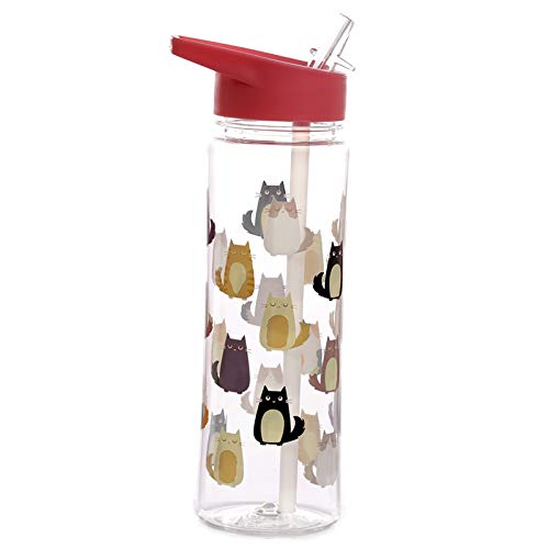 EliteKoopers 1Pcs 550ml Reusable Feline Fine Cat Water Bottle with Flip Straw For Kids, Sports, School