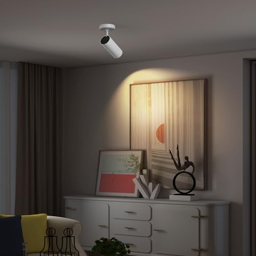 Image of 12W LED Dimmable Ceiling Spotlight Indoor - Adjustable Surface Accent Lamp for Corridor, Living Room, Warm White 3000K, CRI 97 Anti-Glare Picture Artwork Spot Light, White Finish, 2 Packs
