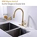 TRUSTMI Brass Single Handle Pull Down Kitchen Faucet with 10 Inch Deck Plate, Brushed Gold