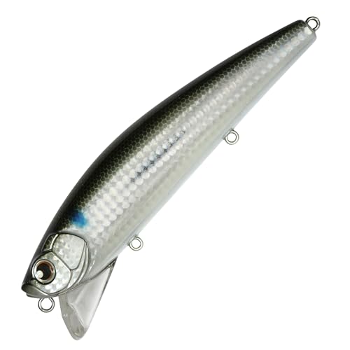 LONGIN WAKEY BOO137mm48gS024LN(ݽ)