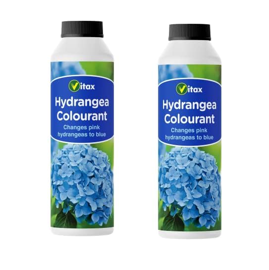 Vitax Hydrangea Colourant – Transform Pink Hydrangeas to Blue, Ideal for Acid Soil, Easy-to-Use for Indoor & Outdoor Plants, 2 Pack (500g)