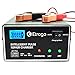 Etrogo Caricabatteria al Piombo Automatico 12V 24V 10A Caricabatterie Rapido Caricabatterie a Impulsi con Schermo LED a Barra