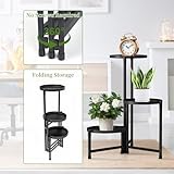 lalago B0D7S9TCKV lato 2