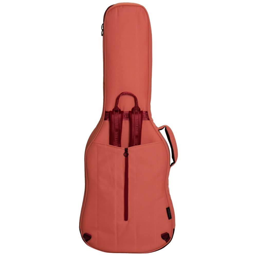 Amazon | RITTER RGB4‑E FRO BERN Electric Guitar エレキギター用