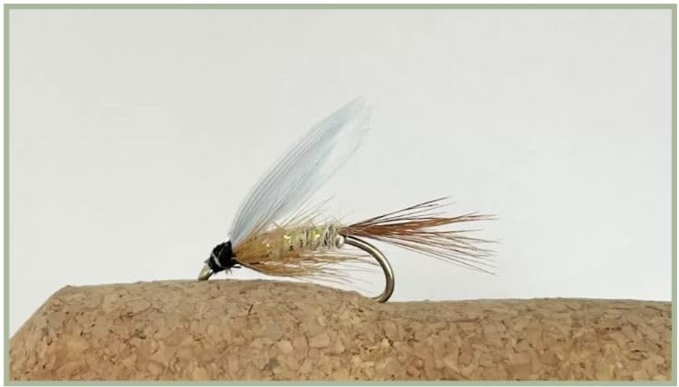 Hares Ear gold ribbed, Wet Trout Flies, Barbless, Rainbows, Brownies, Choice of size and quantity (12, Mixed)