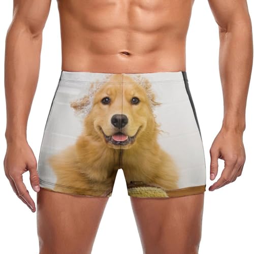 Slip de bain motif squelette de dinosaure pour homme