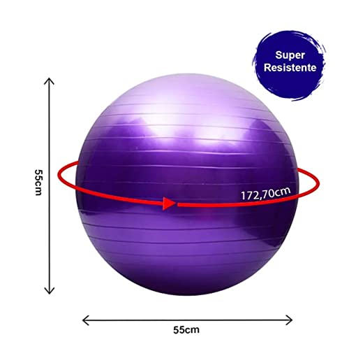 Bola Pilates Ginástica Fisioterapia Suiça 55cm 200kg Cores