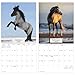 2026 Horses Wall Calendar