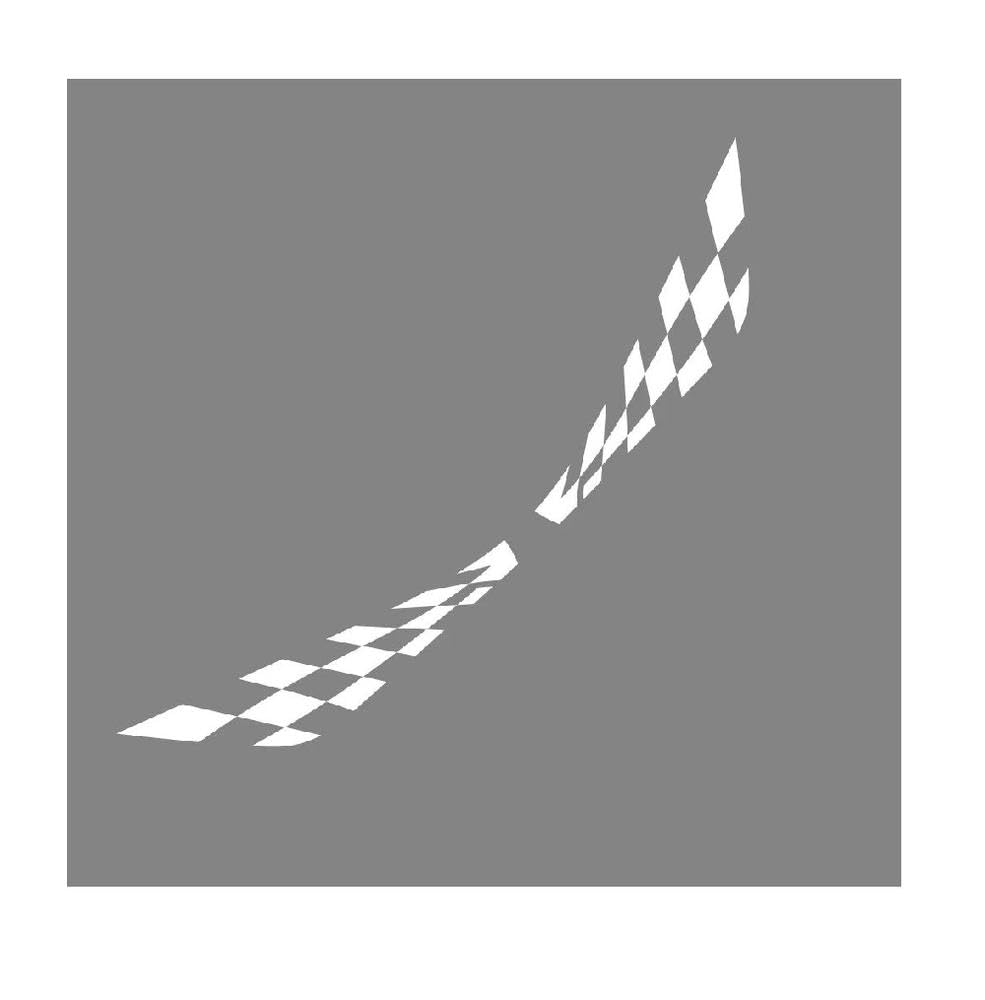 Dabhuoc Glossy White 2Pcs Car Door Side Lattice Vinyl Film Stickers Racing Auto Body Decor Decal Accessories(Glossy White)