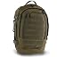 Dark Green (Olive Drab)
