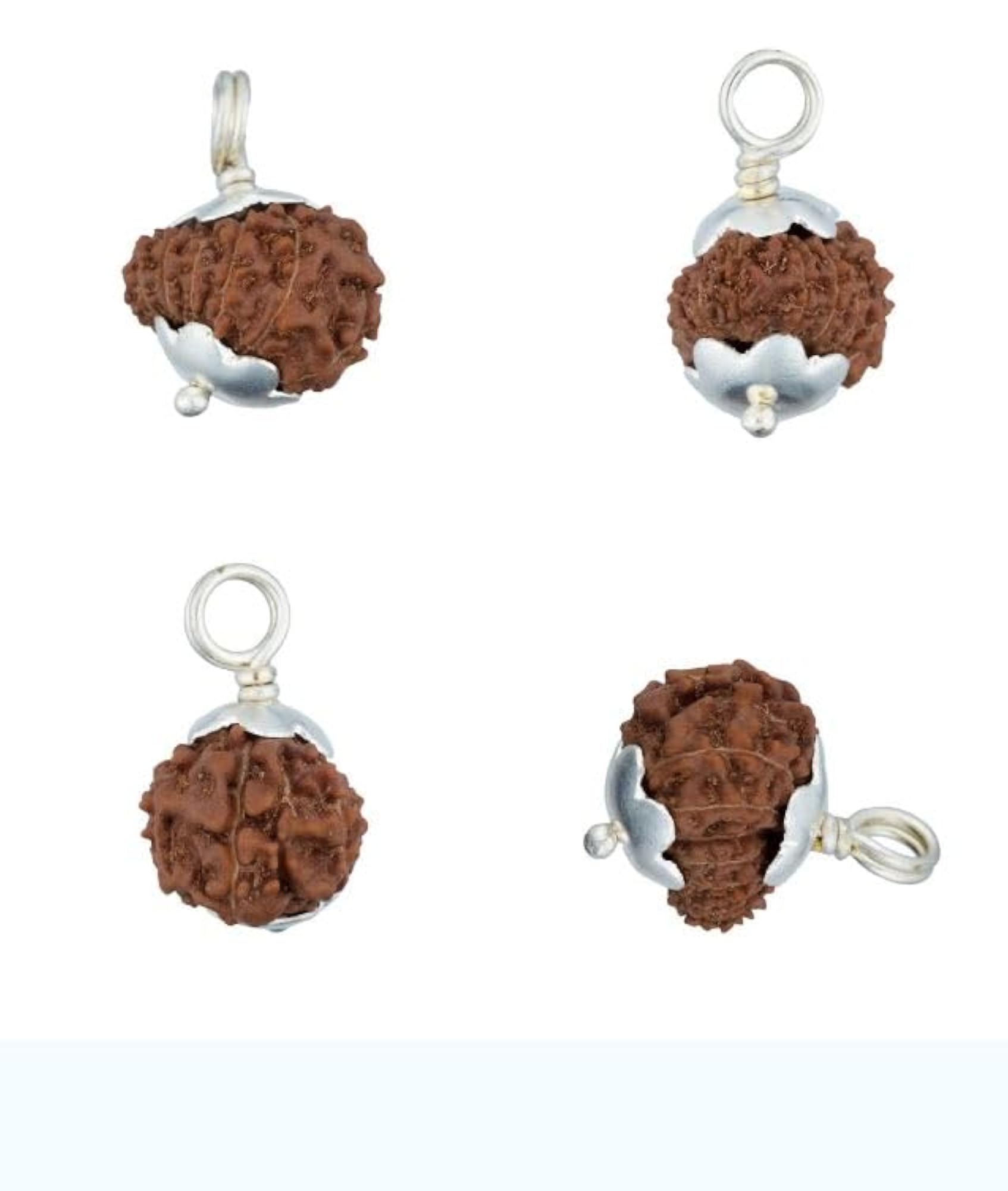 Chaudah Mukhi Rudraksha, Original Certified