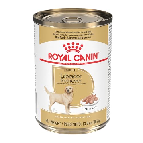 Royal Canin Breed Health Nutrition Labrador Retriever Adult Loaf ...