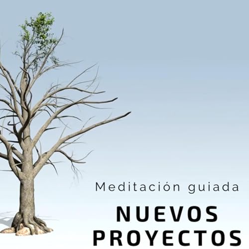 Meditaci&oacute;n para comenzar nuevos proyectos