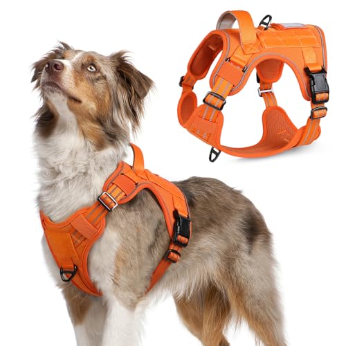 rabbitgoo Tactical Dog Harness Medium Sized Dog, No Pull Military Service Vest with Handle & Molle, Easy Control for Training Walking, Adjustable Reflective Straps, Orange, M