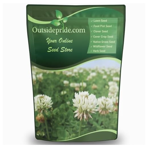 Perennial White Dutch Clover Seed