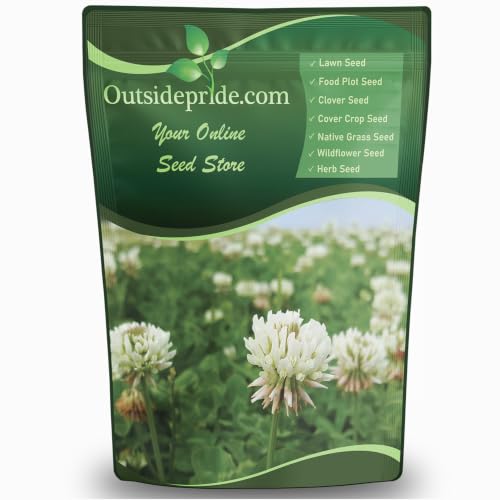 Outsidepride Perennial White Dutch Clover Seed - 2 lbs. Nitrocoated, Inoculated Clover Seeds for...