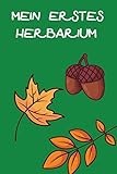Mein Erstes Herbarium: Herbarium anlegen auf 118 Seiten