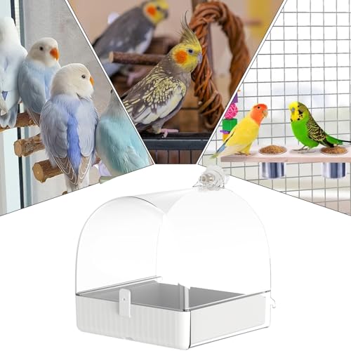 Baño para pájaros estable para evitar vuelcos de guacamayos 6