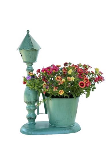 RoastMe ACAt[X^h v^[bN fUC uEԑ䌓p hKdl Õ ȃK[ffR[V OE뉀EoRj[p (Green) [sAi]